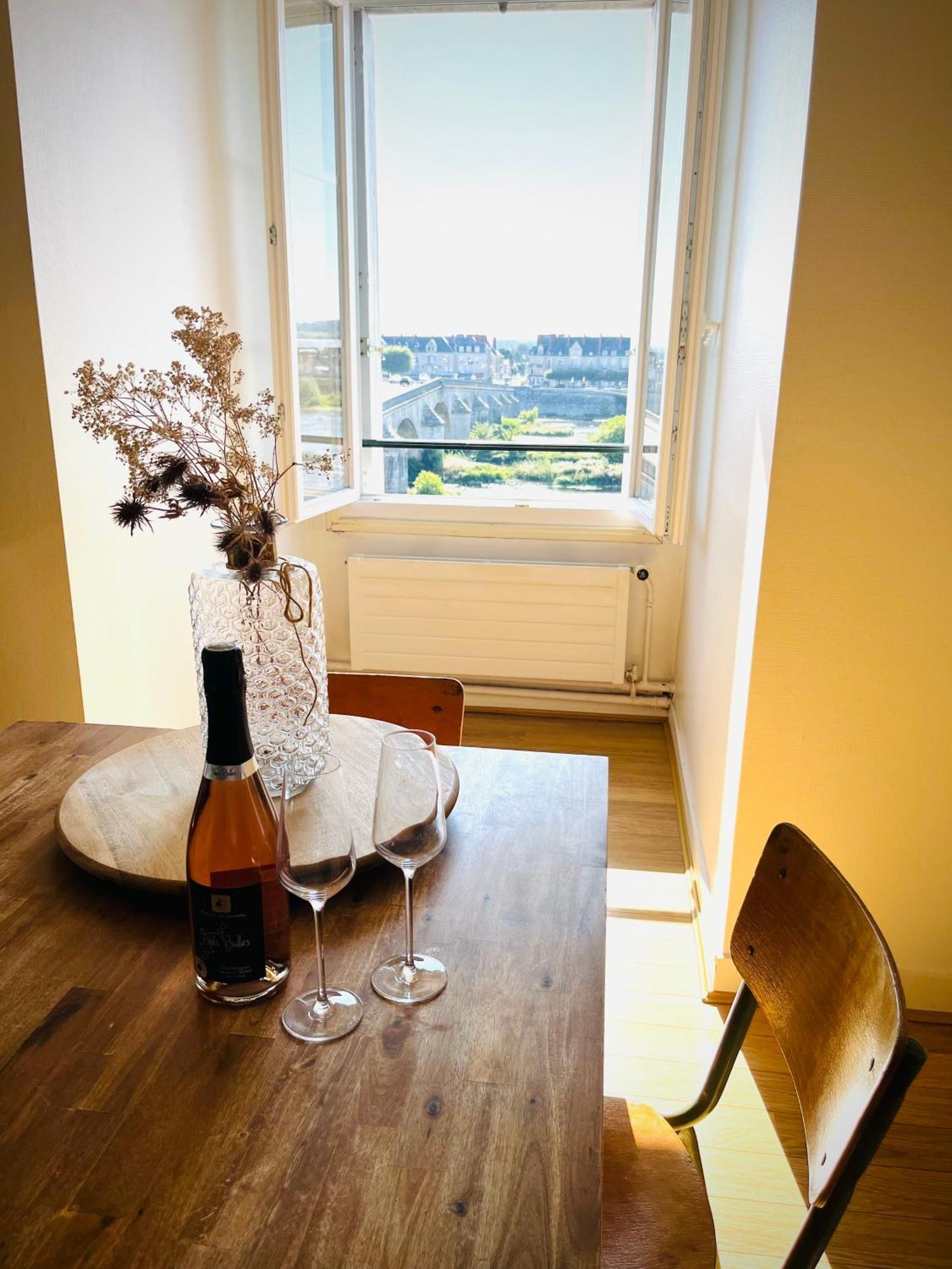 Blois, Vue Panoramique Loire Apartment Bagian luar foto