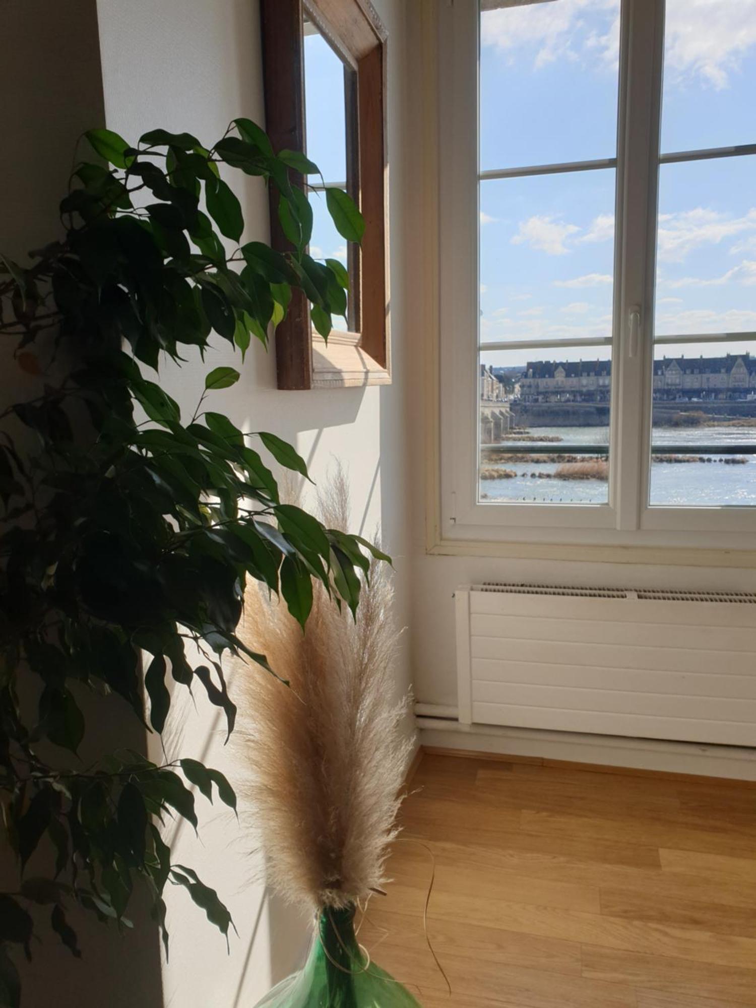 Blois, Vue Panoramique Loire Apartment Bagian luar foto